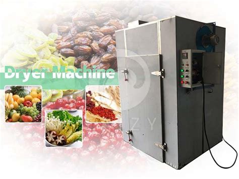 fruit dryer machine|Iba pa.